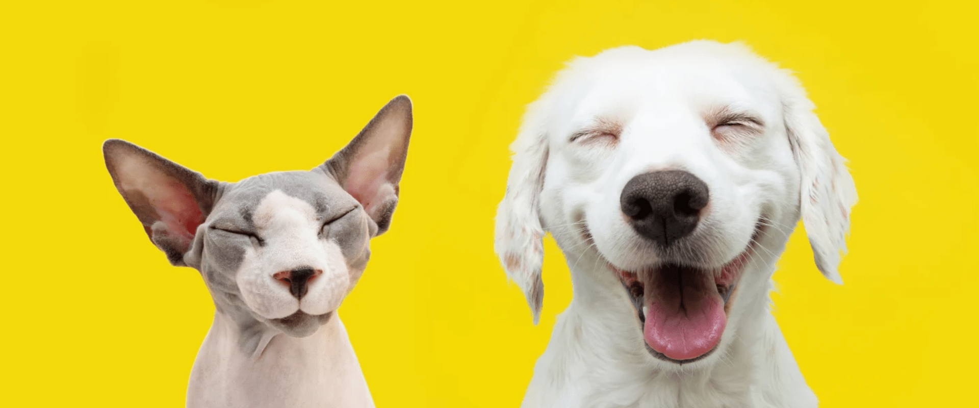 Redaguokite Turinys ir išvaizda > Reklaminiai baneriai