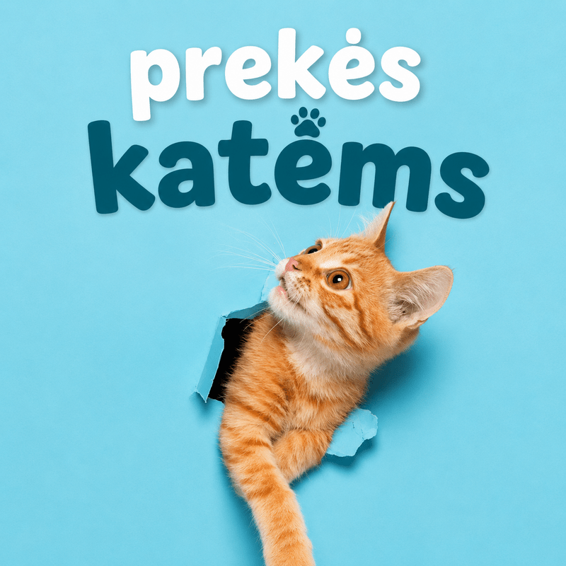Katėms