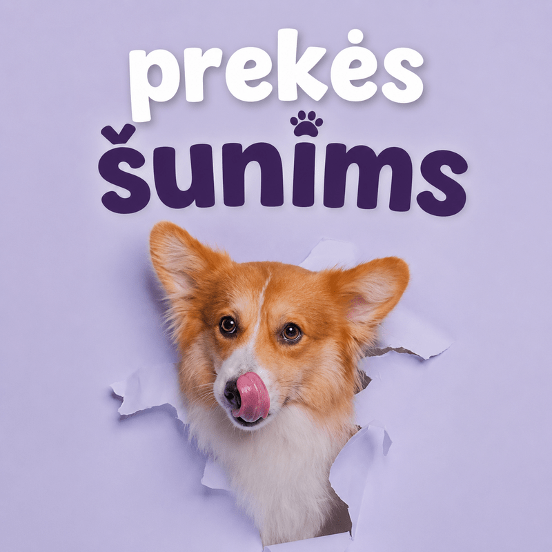 Šunims