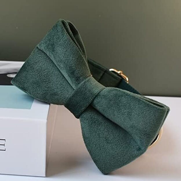 Pavadėlis su antkakliu "Velvet Green" S dydis