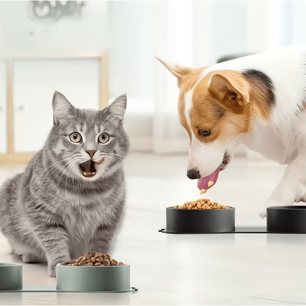 Sulankstomu dubenėlių kilimėlis 1