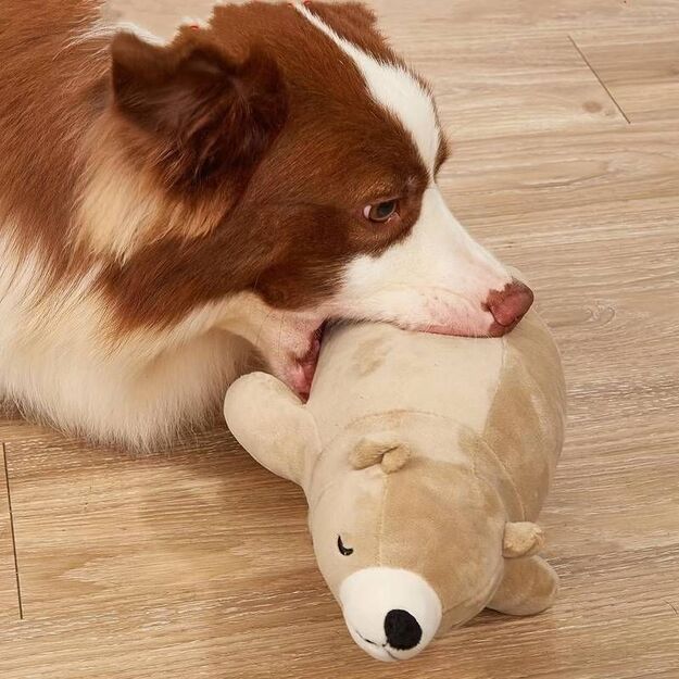 Pliušinis žaislas šunims "Teddy"